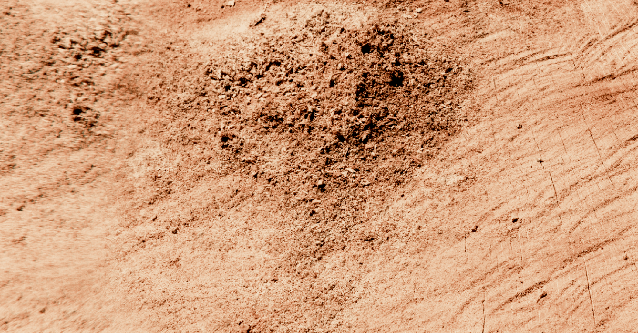 Hero image 2