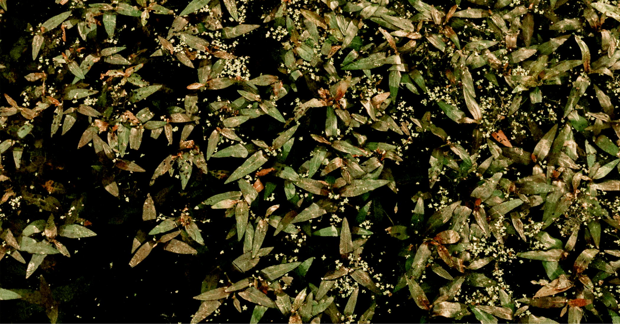 Hero image 4